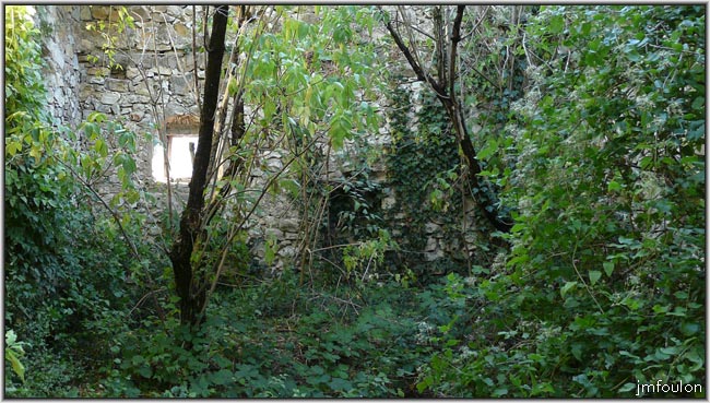 vn-29web.jpg - La nature reprends ses droits !