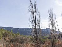 Le Jabron (Alpes de Haute Provence)  Au loin, les montagnes de Pelegrine et Boudeichard à droite