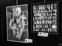 Sisteron - Journées Européennes des Métiers d'Art