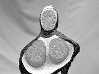 Sisteron - Journées Européennes des Métiers d'Art  Yves Rouzo