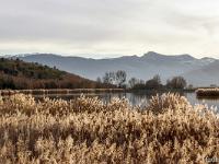 Lac de Mison (Alpes de Haute Provence)  Le lac depuis la rive Est. Au loin a gauche, les crêtes enneigées de Lure
