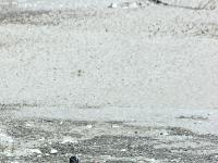 Lac de Serre-Ponçon  Les amoureux se promènent ! ...