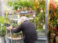 Lyon  Quartier Saint Jean - Le vieux fleuriste