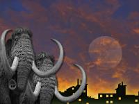 Les mammouths sont perplexes ! Je répète ! Les mammouths sont perplexes ! ...