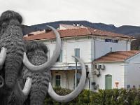 Les mammouths sont perplexes ! Je répète ! Les mammouths sont perplexes ! ...