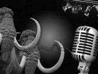 Les mammouths sont perplexes ! Je répète ! Les mammouths sont perplexes ! ...