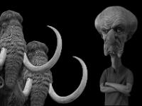 Les mammouths sont perplexes ! Je répète ! Les mammouths sont perplexes ! ...