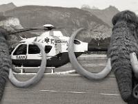 Les mammouths sont perplexes ! Je répète ! Les mammouths sont perplexes ! ...