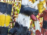 Marimot Jean-Pierre - Bois Flottés