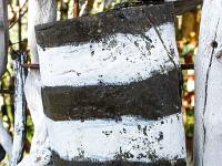 Marimot Jean-Pierre - Bois Flottés