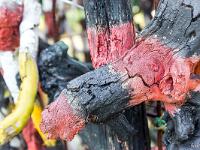 Marimot Jean-Pierre - Bois Flottés