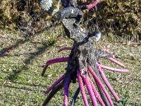 Marimot Jean-Pierre - Bois Flottés