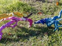 Marimot Jean-Pierre - Bois Flottés