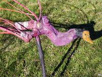 Marimot Jean-Pierre - Bois Flottés