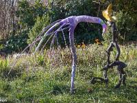 Marimot Jean-Pierre - Bois Flottés