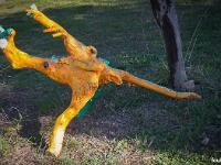 Marimot Jean-Pierre - Bois Flottés