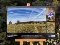 Sacrée Méouge - Edition 17  Expo de sensibilisation au milieu ...