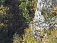 Sacrée Méouge - Edition 17  Vue sur les gorges ...