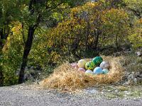 Sacrée Méouge - Edition 17  Oeufs de dinosaures ! ...