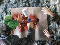 Sacrée Méouge - Edition 17  Peinture rupestre version moderne dans le tunnel ...