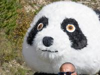 Sacrée Méouge - Edition 17  Fanfare ...