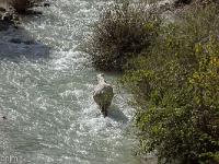 Sacrée Méouge - Edition 17  Dans ma Méouge ...