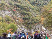 Sacrée Méouge 2025  La FONC (Fanfare) ...