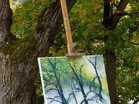 Sacrée Méouge 2025  Performance Peintres ...