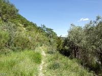 Rando à Mongervis (Sisteron)  Début de la rando au départ de Pont de Gournias qui enjambe le Jabron