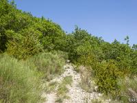 Rando à Mongervis (Sisteron)  Le sentier