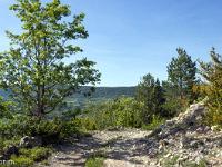 Rando à Mongervis (Sisteron)  Pour redecendre, nous allons empreinter une piste sur environ 1,5 km. Je cheminerai ensuite hors piste à travers bois