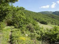 Rando à Mongervis (Sisteron)  Direction plein Sud ! ...