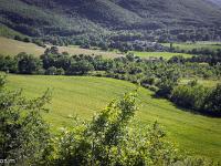 Rando à Mongervis (Sisteron)  Vue sur la campagne à l'Ouest de Mongervis