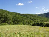 Rando à Mongervis (Sisteron)  Mongervis