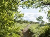 Rando à Mongervis (Sisteron)  Le sentier