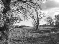 Noir & Blanc - Photos Nature  Chemin ...