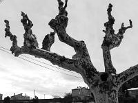 Noir & Blanc - Villes et villages  Sisteron - Place de l'Horloge - Premières chutes de neige - Quartier des Marres