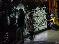 PEINTURE FRAICHE - HALLE DUBOURG - LYON 7