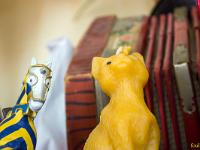 Photos en vrac ! ...  Le cheval et le chat