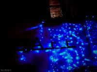 Photos en vrac ! ...  Café