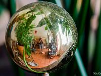 Photos en vrac ! ...  Dans ma bulle ! ...