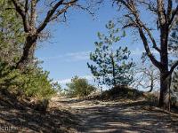 Les paysages  La chemin menant au vieux village dont il ne reste rien et au vestiges du château