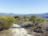 Les paysages  Le sentier entre le donjon et Pirivigier