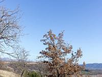 Les paysages  Le chemin en redescendant vers La Grange Neuve