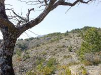 Les paysages  En face, le sommet de Pirivigier