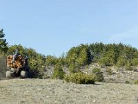 Les paysages  Ca bucheronne dans la pinède ! ...