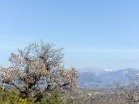 Les paysages  A partir d'ici on chemine plein Sud vers l'Est. La végétation change et est plus méditerranéenne
