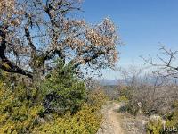 Les paysages  Le sentier