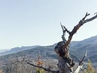 Les paysages  Monsieur prend la pose ! ...