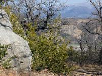 Les paysages  Nous redescendons vers La Grange Neuve